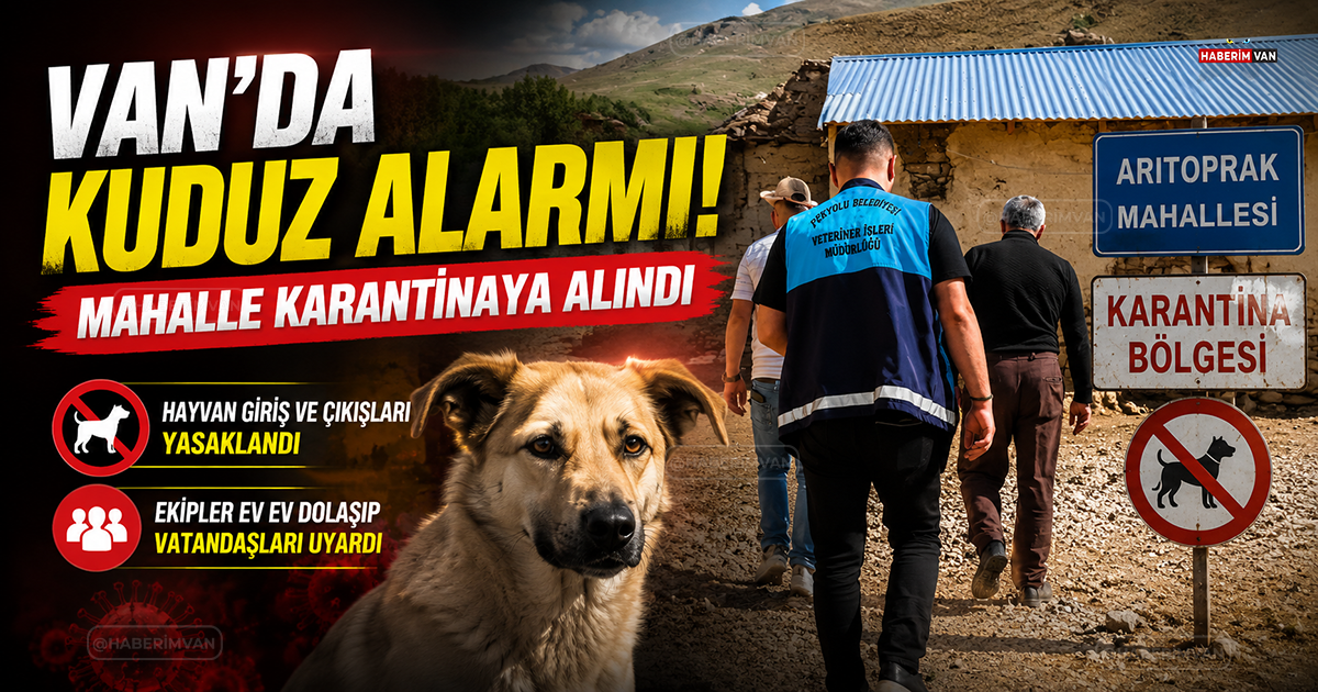 Van'da Kuduz Alarmı! Mahalle Karantinaya Alındı