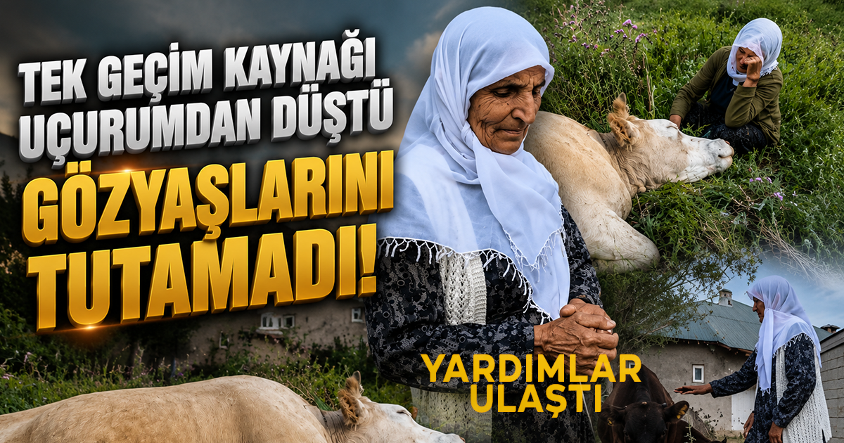 Hakkari'de tek geçim kaynağını kaybetti: Yardım eli gecikmedi