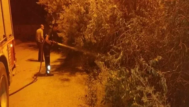 Başkale'de bahçe yangını korkuttu