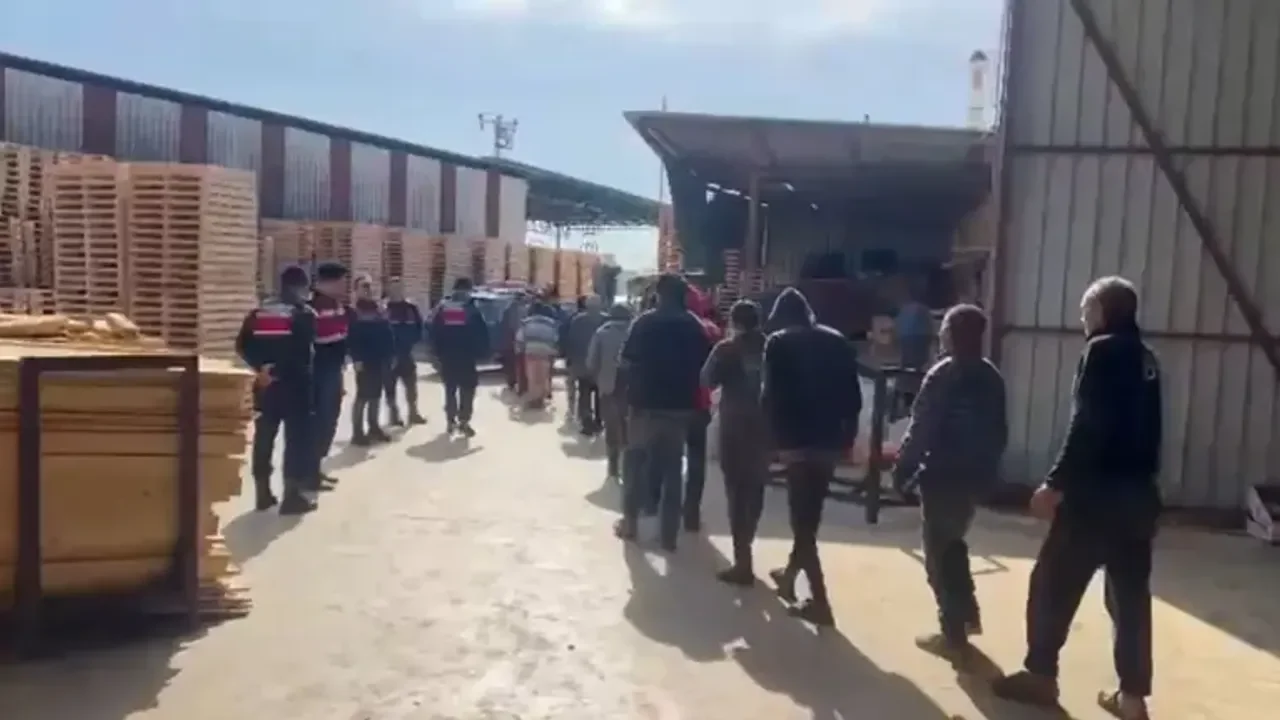 Van dahil 31 ilde göçmen kaçakçılığı operasyonu: 21 tutuklama