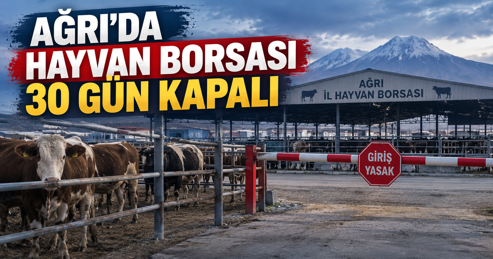 Ağrı’da şap hastalığı nedeniyle hayvan borsası kapatılıyor