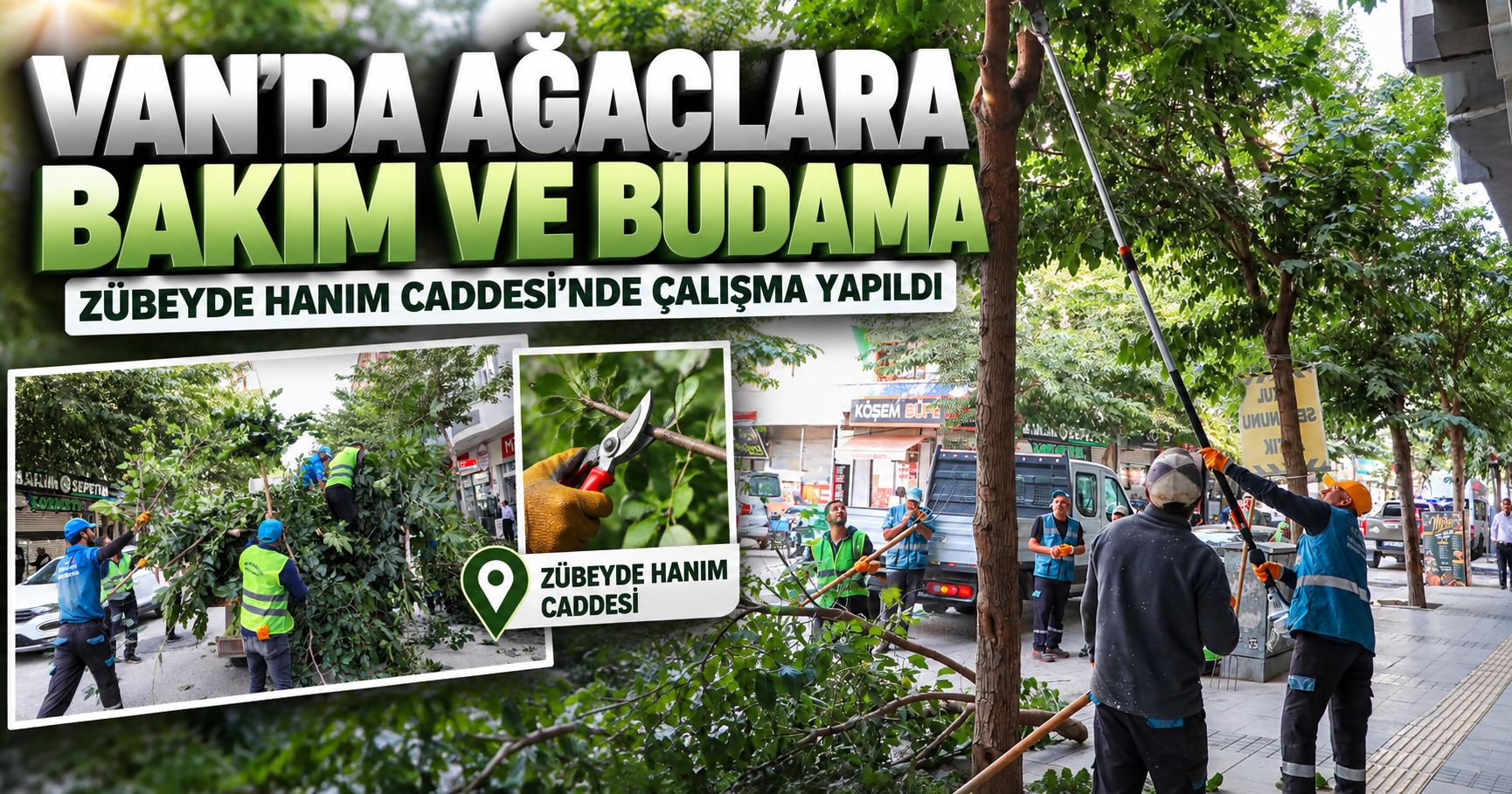 Van’da cadde ve bulvarlarda ağaç budama çalışması