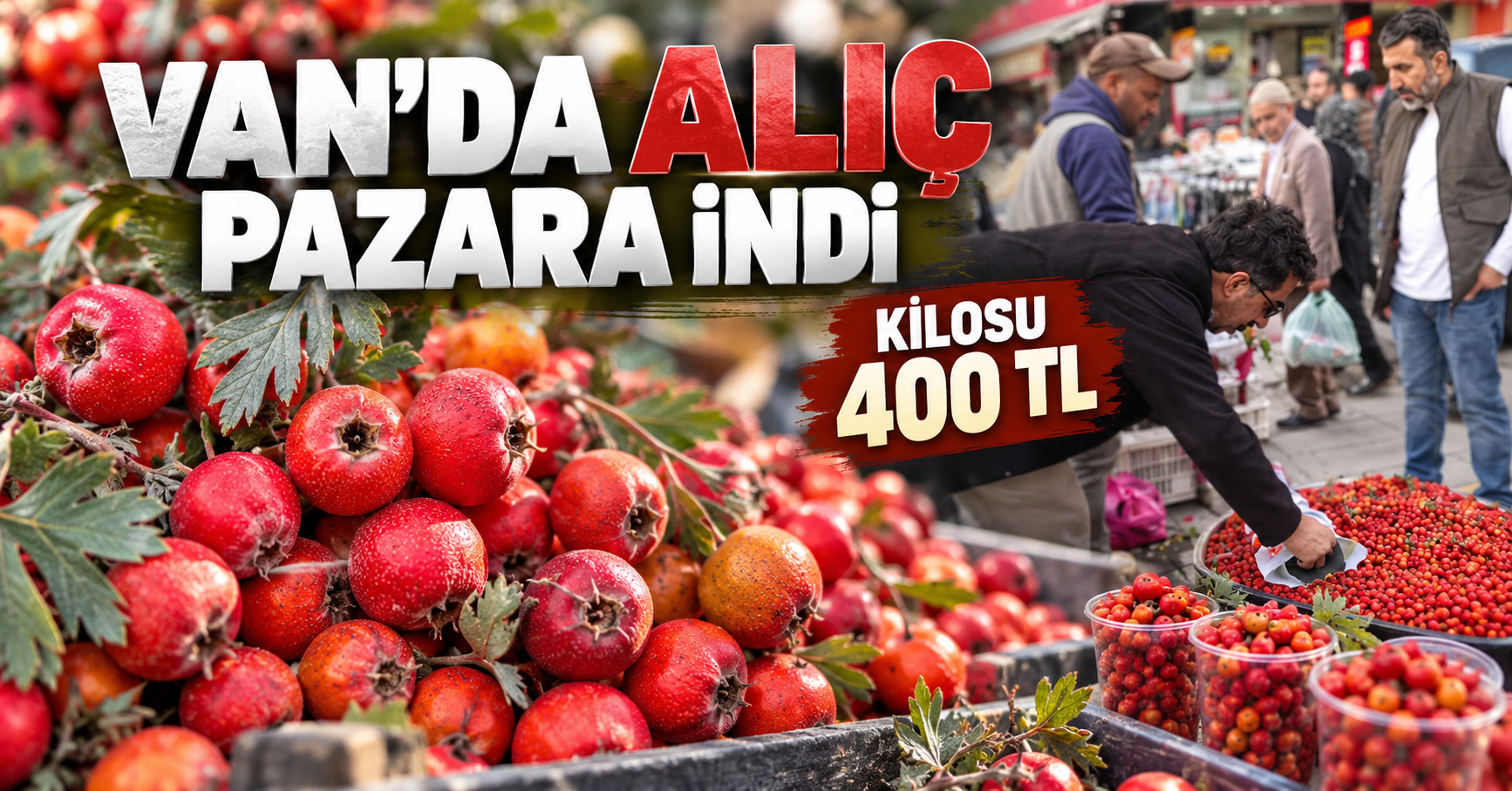 Van’da dalında kalıyordu, şimdi kilosu 400 TL! Alıç tezgâhlara indi