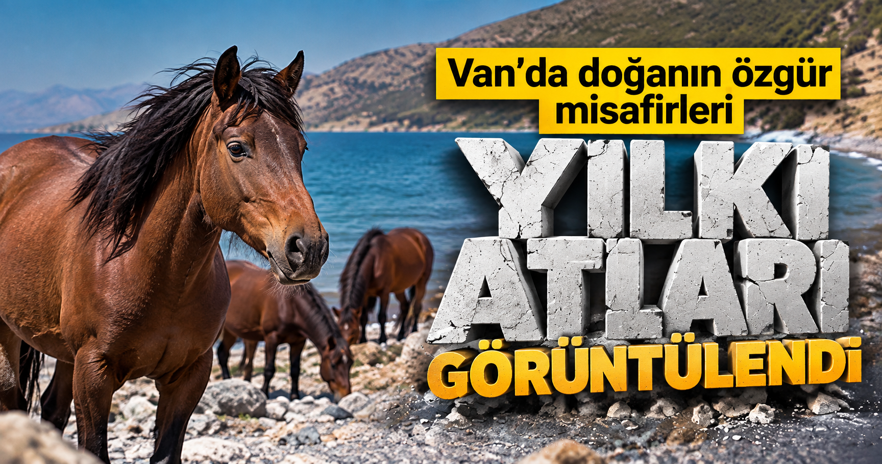 Van’da doğanın özgür misafirleri: Yılkı atları görüntülendi