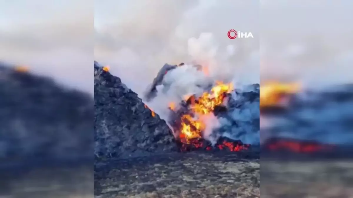 Van’da 9 Bin Bağ Ot Kül Oldu!