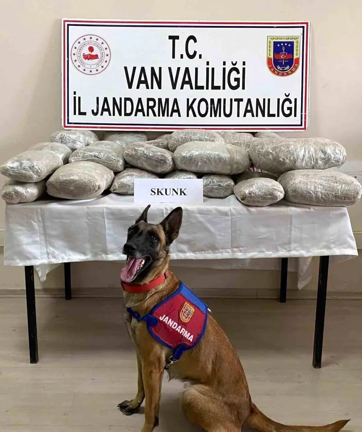Van’da Narkotik Operasyonu: 28 Kilo Skunk Ele Geçirildi