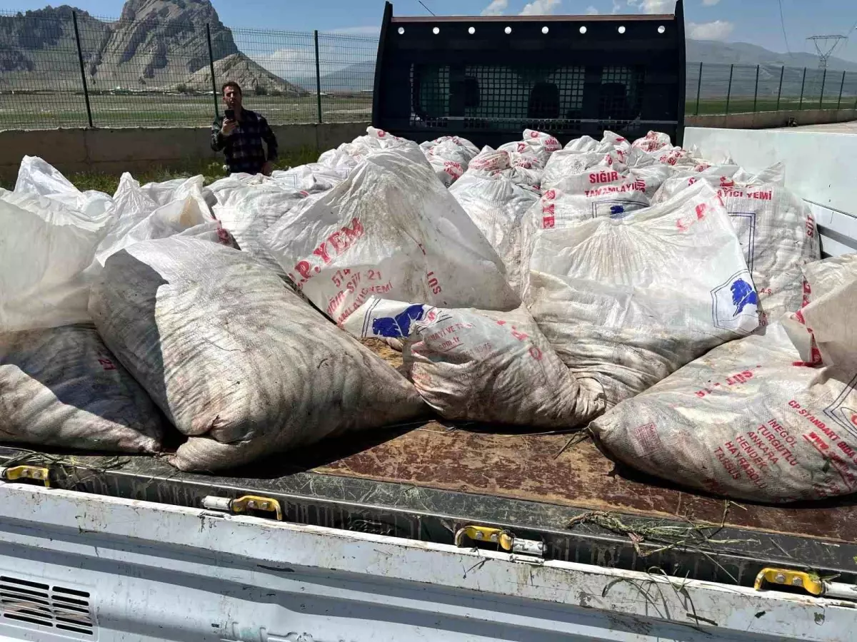 Ağrı’da 2 Ton Kaçak İnci Kefali Yakalandı!