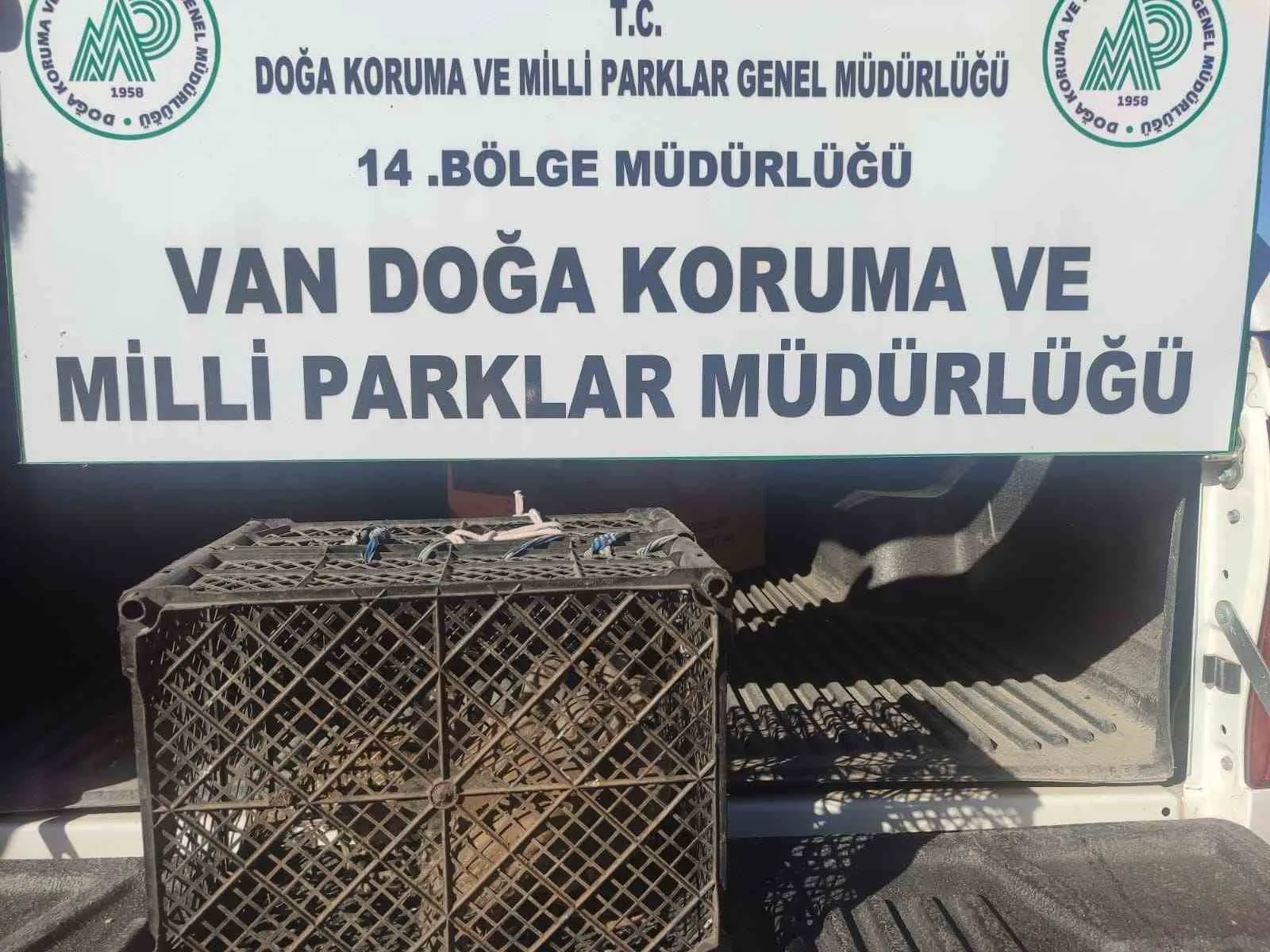 Van’da Kafes Avcılığına 53 Bin Lira Ceza