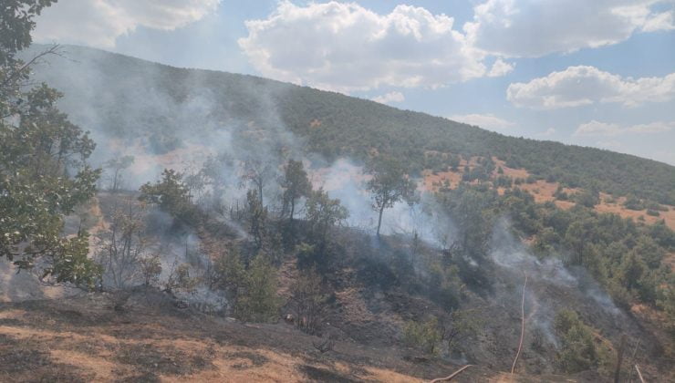 Bingöl Genç’te Orman Yangını Söndürüldü