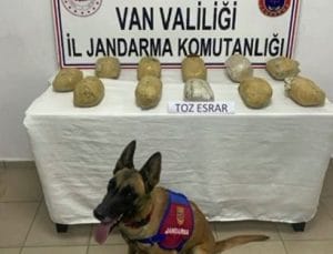 Van’da Uyuşturucu Operasyonu: 15 Kilo Narkotik Madde