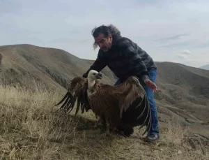 Van’da Tedavi Edilen Kaya Kartalı ve Kızıl Akbaba Doğaya Salındı