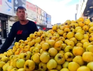 Van’da Kışın Habercisi ‘Alıç’ Tezgahlarda Yerini Aldı