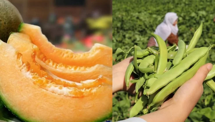 Gevaş Fasulyesi ve Sıhke Kavunu Tescillendi