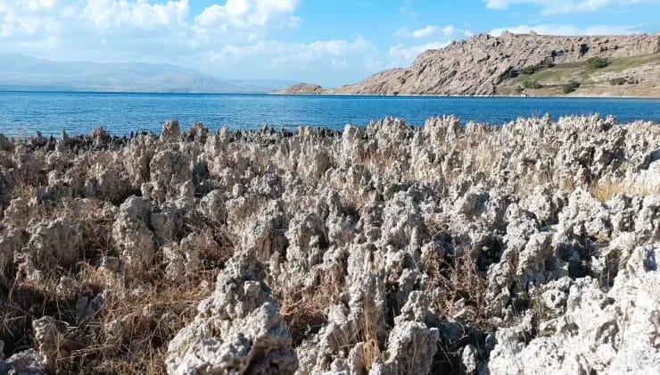 Van Gölü’nün Çekilen Suları, Mikrobiyalitleri Ortaya Çıkardı!