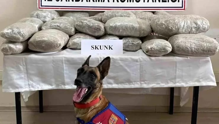 Van’da Narkotik Operasyonu: 28 Kilo Skunk Ele Geçirildi