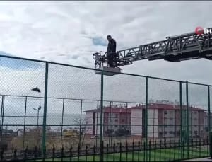 Van’da Halı Saha Mahsur Kalan Karga Kurtarıldı