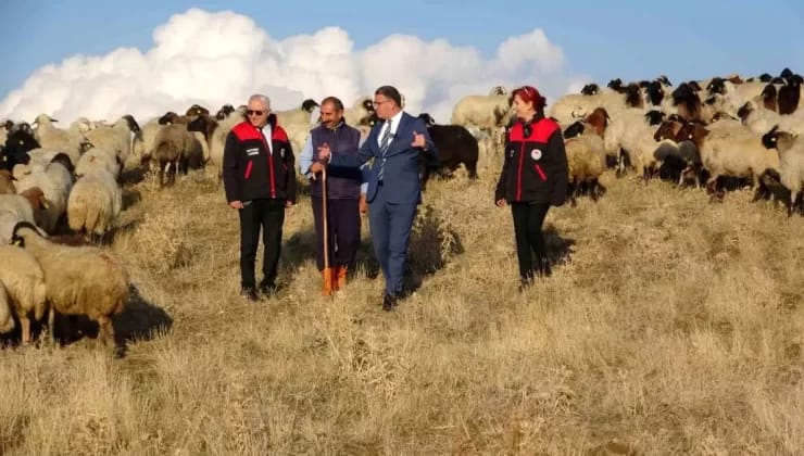 Van’da Çiftçilere 200 Bin Koyun Desteği Sağlandı