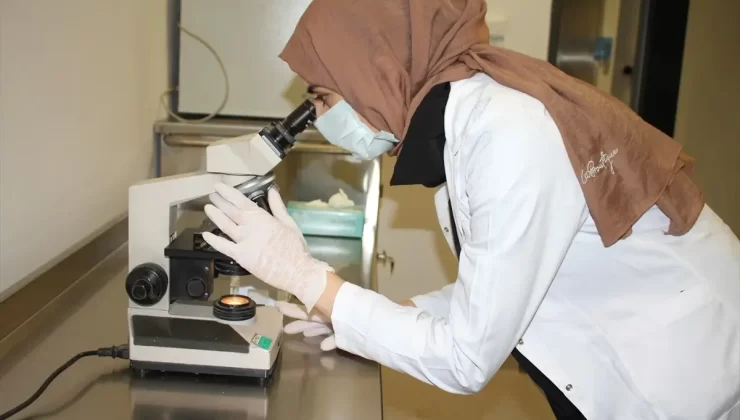 Van’da Tüp Bebek Merkezi Açıldı! İlk Aşılama Başarıyla Gerçekleşti
