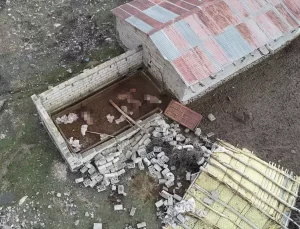 Çatak’ta Şiddetli Rüzgar Yıktı ve Kurtlar Saldırdı