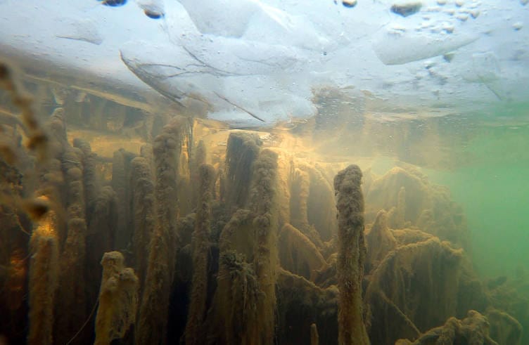 Van Gölü’nün Derinliklerinde Tarihi Keşif