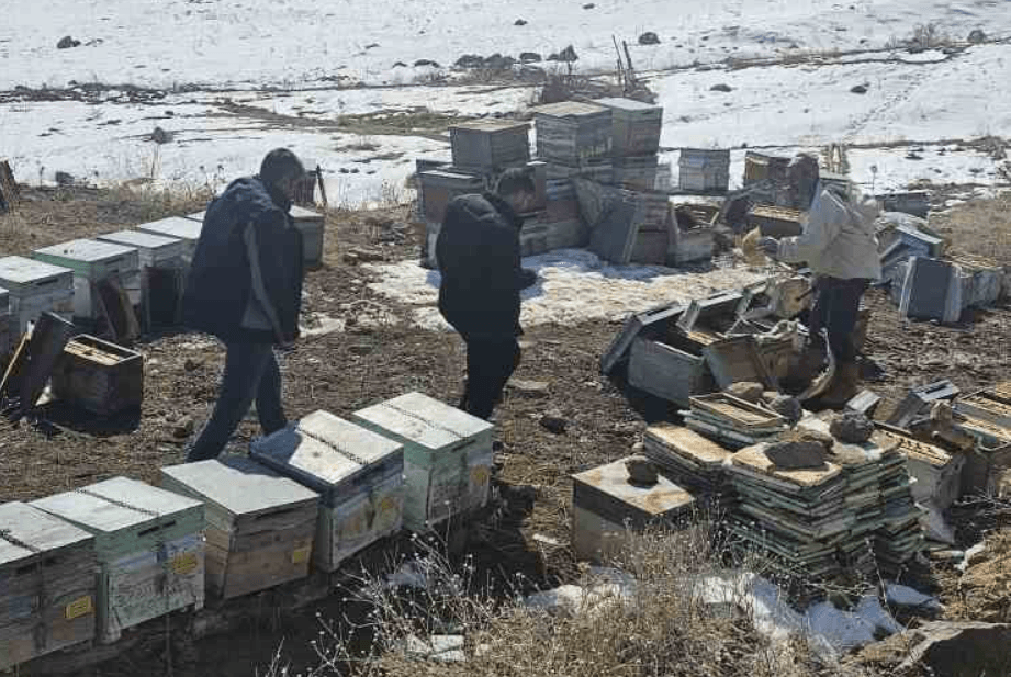 Muradiye’de Onlarca Kovan Arı Telef Oldu, 700 Bin TL Zarar