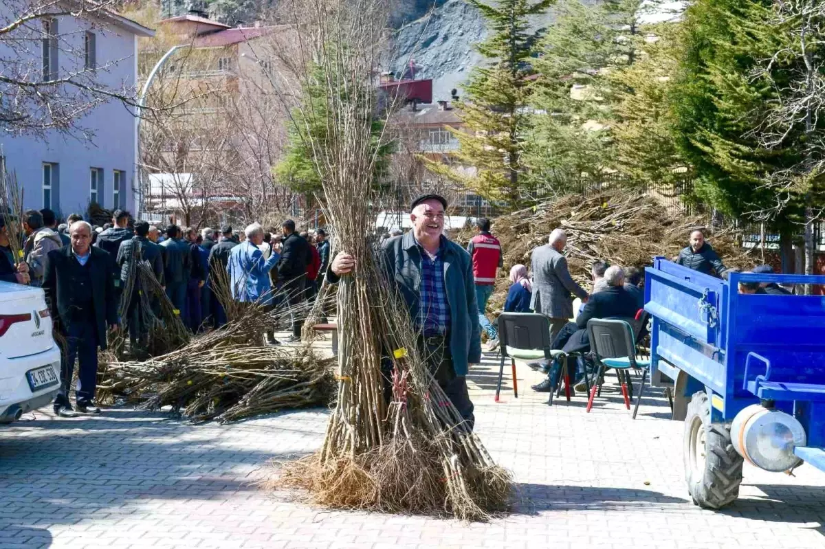Çatak’ta 36 Bin 500 Fidan Dağıtımı Yapıldı