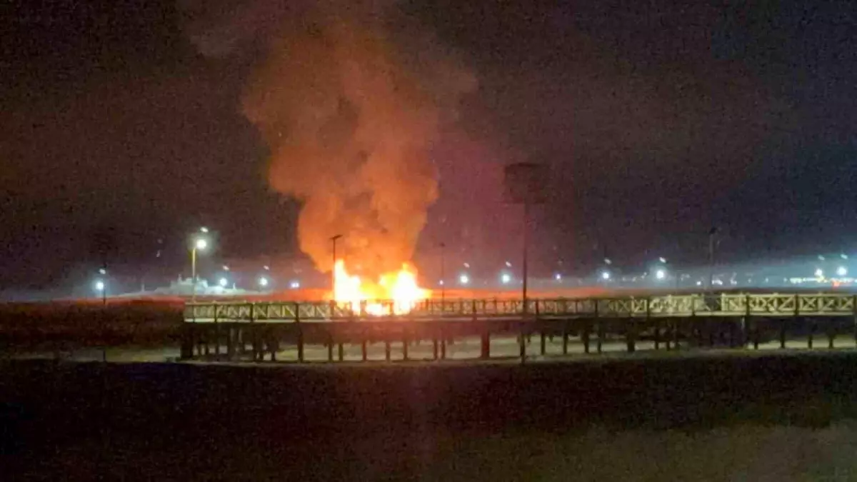 Van’da Sazlık Yangını! Yaban Kuşları Tehlike Atlattı