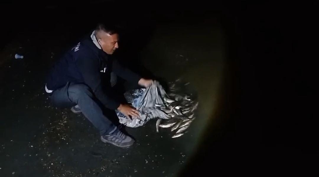 Van Gölü’nde İnci Kefalinin Zorlu Göçü Başladı: Kaçak Avcılara Geçit Yok!