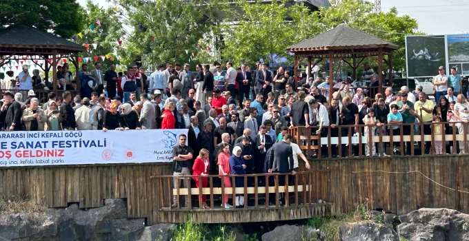 12. İnci Kefali Göçü Festivali 30 Mayıs’ta Başlıyor