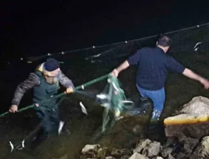 Van’da Kaçak Avcılara Baskın: 5 Ton 650 Kilo Balık Ele Geçirildi
