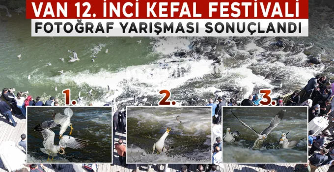 2025 İnci Kefali Göçü Fotoğraf Yarışması Sonuçlandı