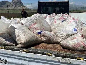 Ağrı’da 2 Ton Kaçak İnci Kefali Yakalandı!