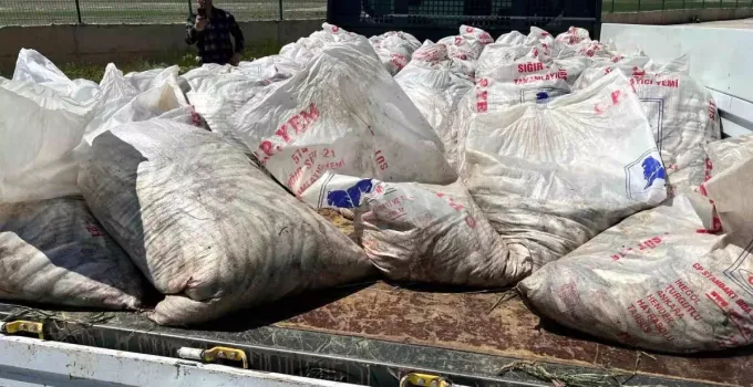 Ağrı’da 2 Ton Kaçak İnci Kefali Yakalandı!
