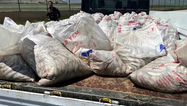Ağrı’da 2 Ton Kaçak İnci Kefali Yakalandı!