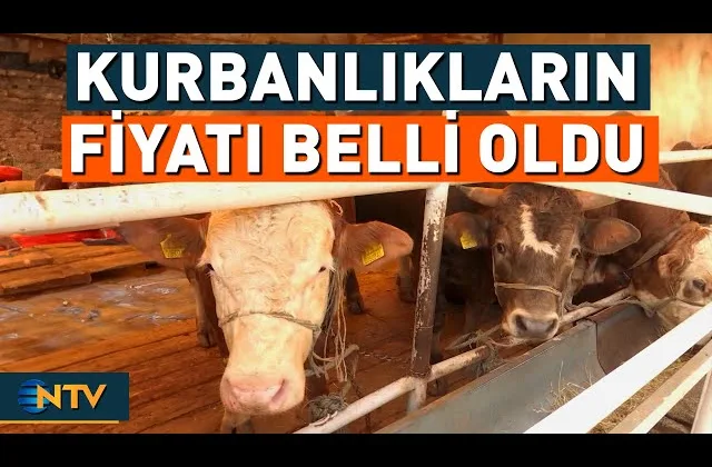 Kurban Hareketliliği Başladı: En Uygun Fiyatları Bu İllerde!