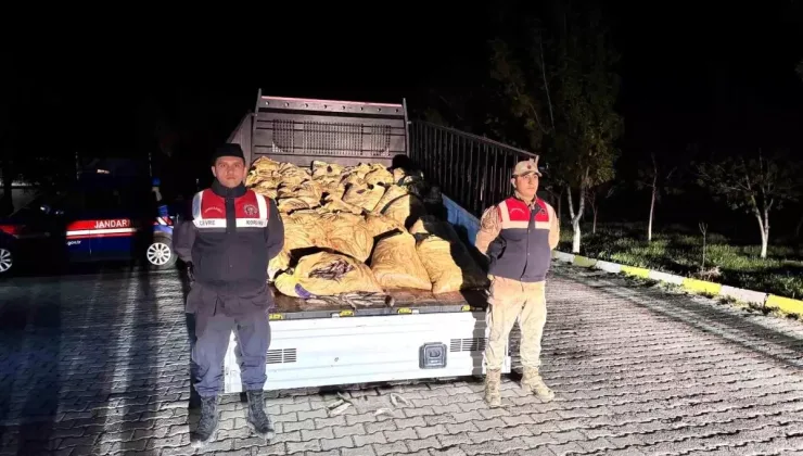 Van’da Kaçak İnci Kefali Avına Geçit Yok! 15 Kişiye 216 Bin TL Ceza