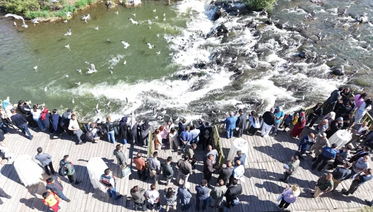 Erciş’te İnci Kefali Göçü Festivali Coşkuyla Başladı!