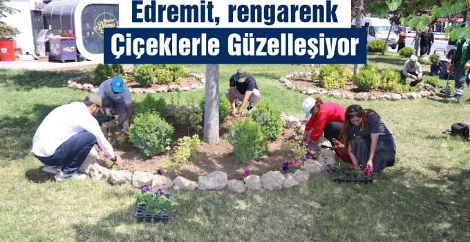 Edremit 100 Bin Çiçekle Renkleniyor: İlçeye Mevsimlik Güzellik Katılıyor