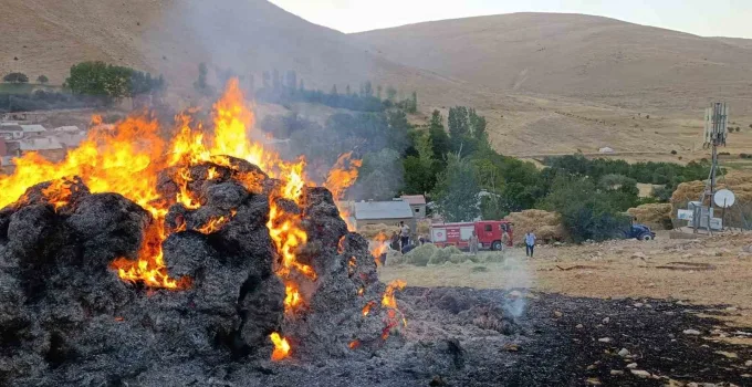 Gevaş’ta ot yığını yangını korkuttu