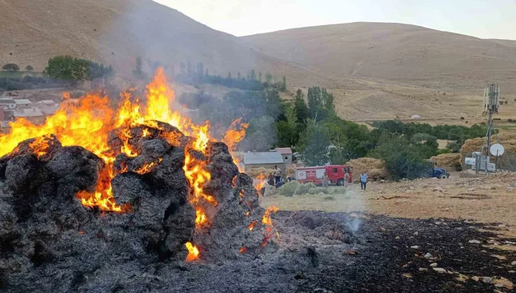 Gevaş’ta ot yığını yangını korkuttu