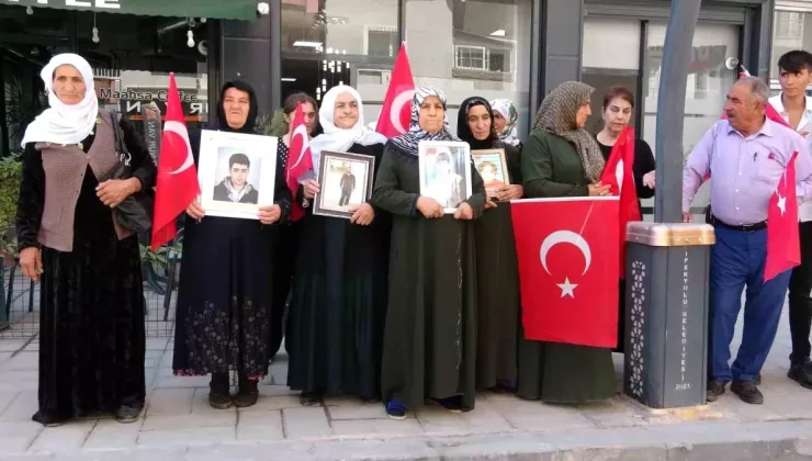 Van’da Evlat Nöbeti 107. Haftasında