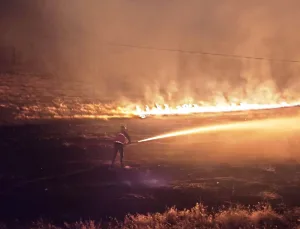 Çaldıran’da Anız Yangını Korkuttu: Evlere Sıçramadan Söndürüldü