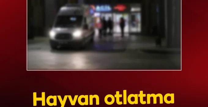 Hayvan Otlatma Tartışması Silahlı Kavgaya dönüştü: 1 Ölü, 2 Yaralı
