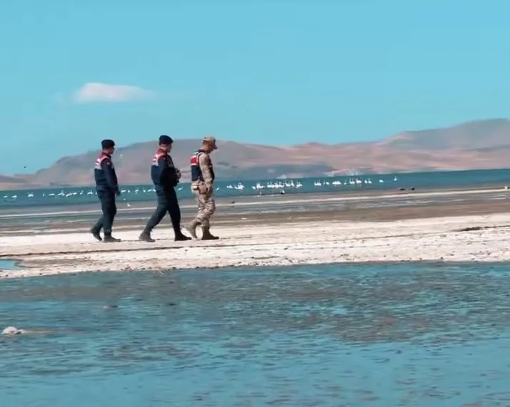 Erçek Gölü’nde Flamingolar İçin Jandarma Koruması