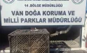 Van’da Kafes Avcılığına 53 Bin Lira Ceza
