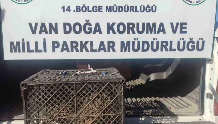 Van’da Kafes Avcılığına 53 Bin Lira Ceza