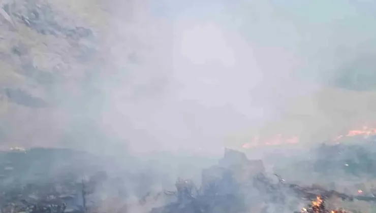 Başkale’de Anız Yangını Korkuttu
