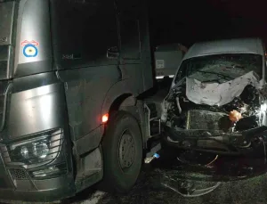 Gevaş’ta Minibüs ve Otomobil İneğe Çarptı: 2 Yaralı