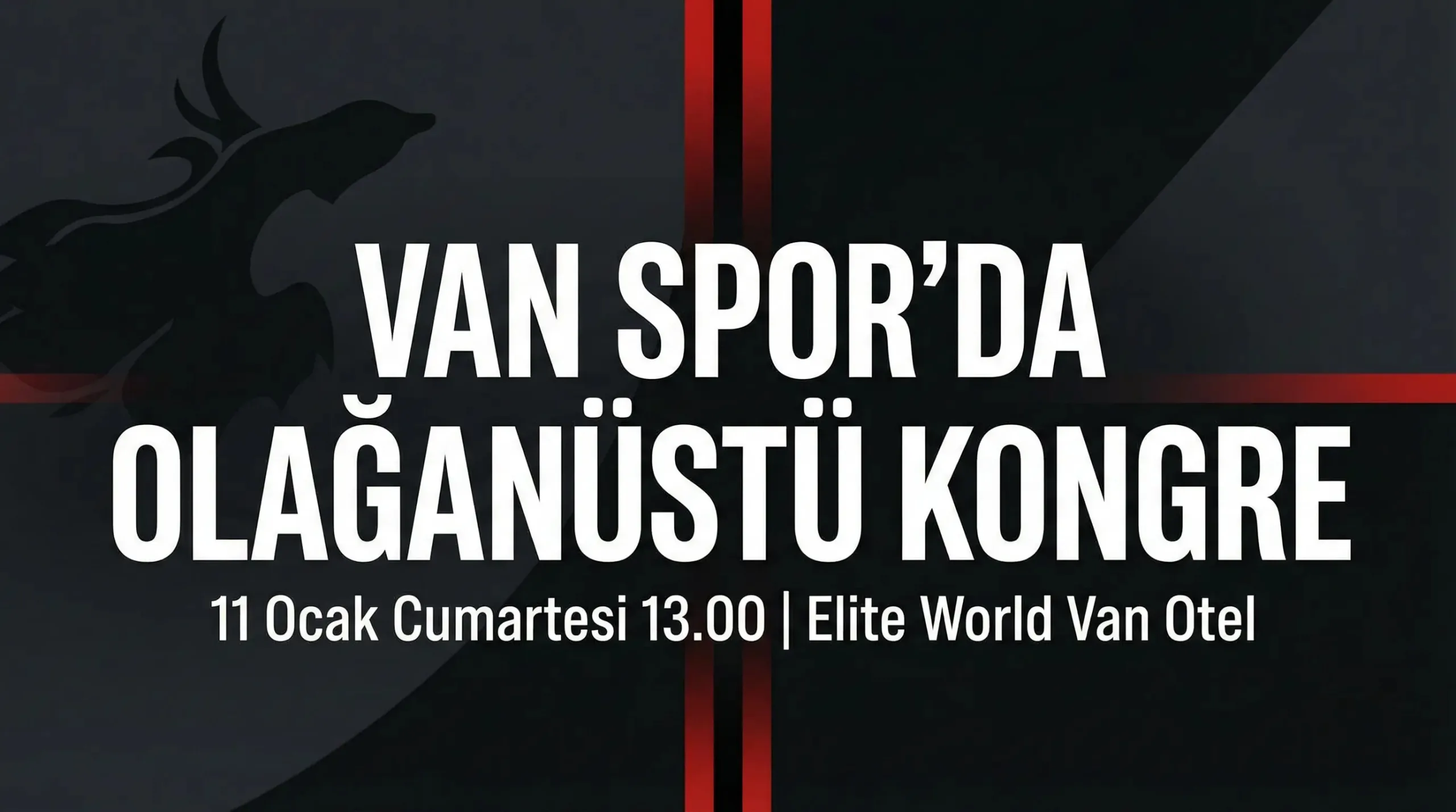 İmaj Altyapı Van Spor FK Olağanüstü Kongreye Gidiyor