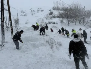 Van’da Mahalleye Çığ Düştü: 1 Kişi Hayatını Kaybetti